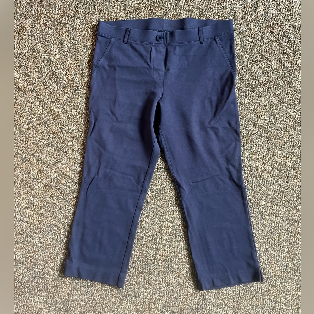 Blue Stretchy Pants
